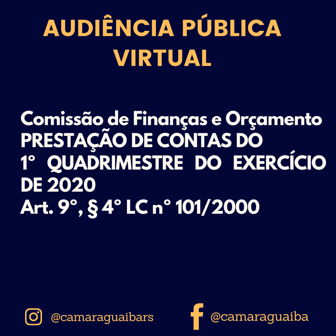 Audiência Pública Virtual 